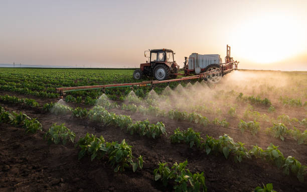 Best Cockroach Control Services  in Dixon Lane Meadow Creek, CA