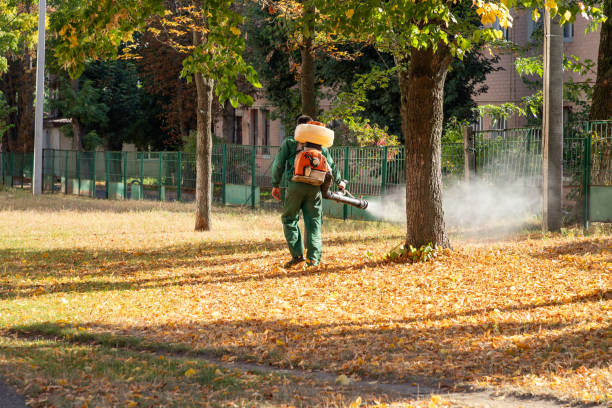 Best Wasp Removal Services  in Dixon Lane Meadow Creek, CA