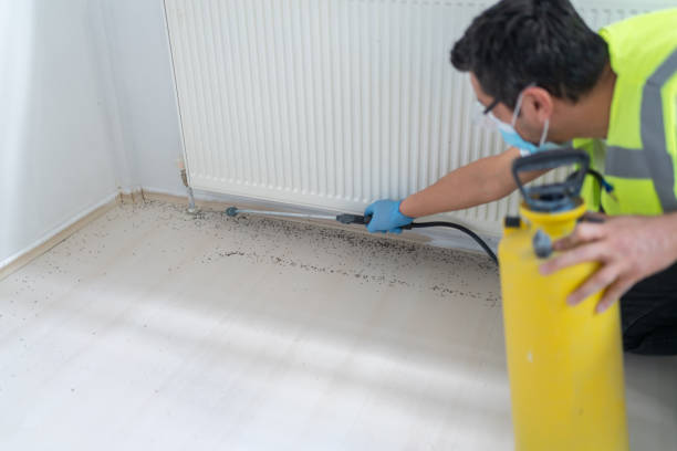Best Rat Extermination Near Me  in Dixon Lane Meadow Creek, CA